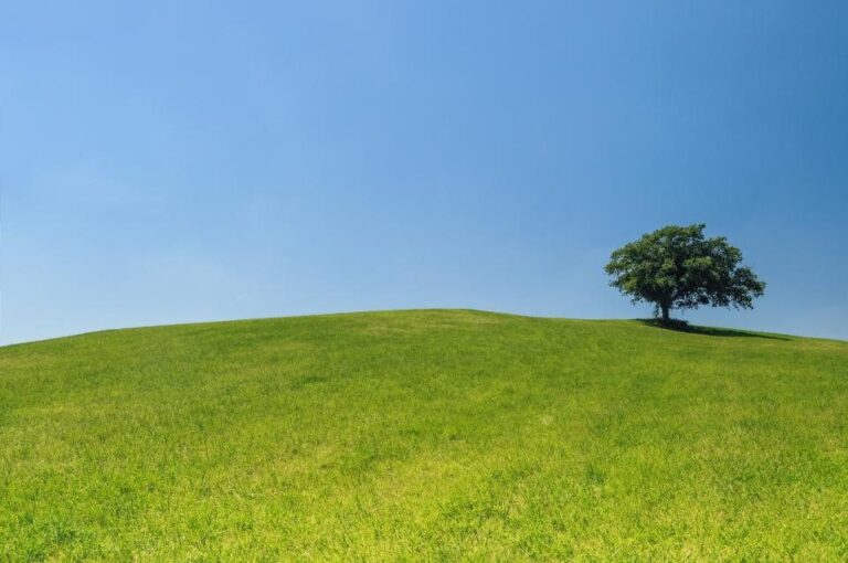 Terreno ideal para desarrollo en Coatepeque, salida a Colomba